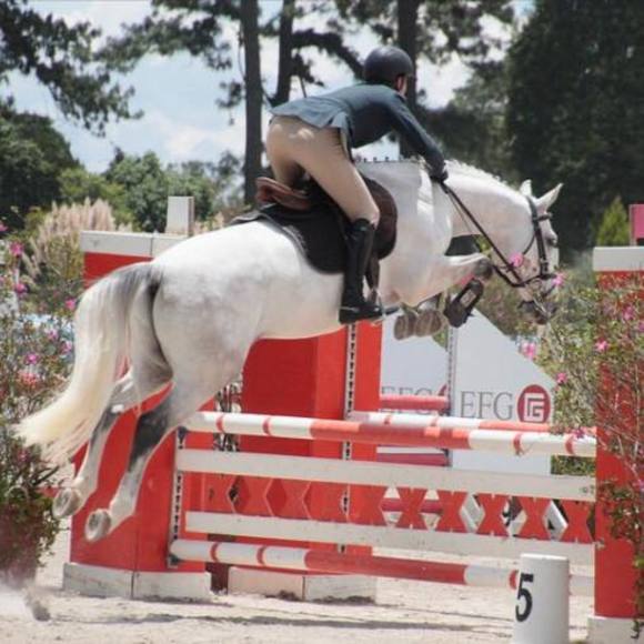 Meet your Posher, Silvia - Picture 1 of 1